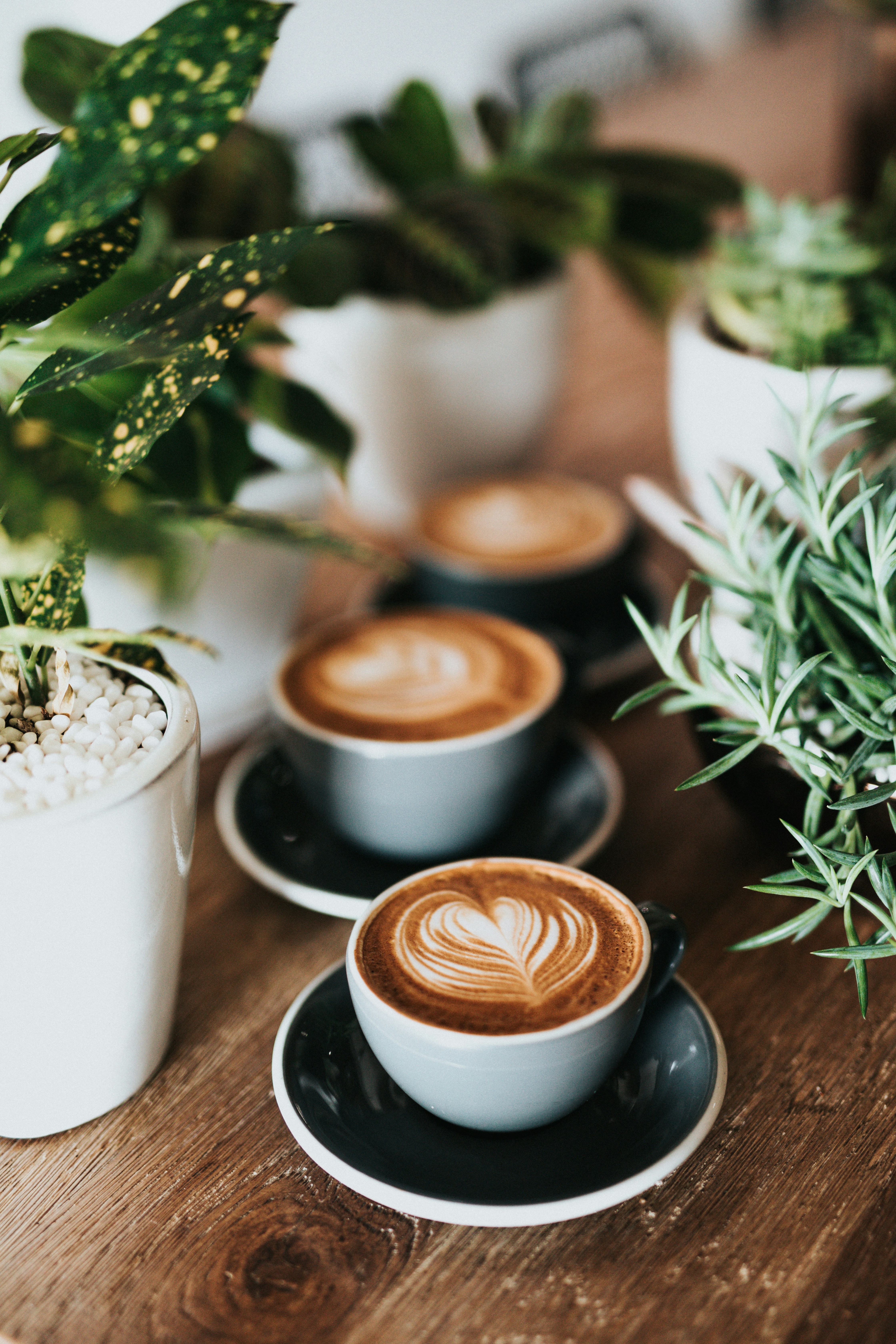 image du projet O'coffee